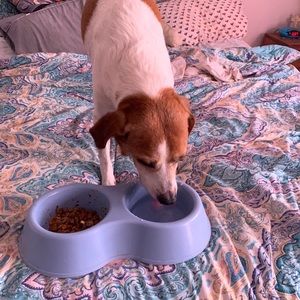 Meet your Posher, Julia